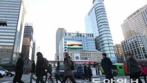 싱글세 논란, 네티즌 "세금을 걷는 방법도 참… "