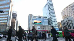 싱글세 논란, 해명에도 불구하고 네티즌 "솔로 세금?"