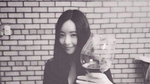 홍수아 최근 근황 보니…물 오른 미모 자랑 ‘인형 미모’