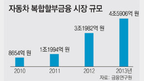 금감원, 車복합할부 갈등 현대車 고발 검토