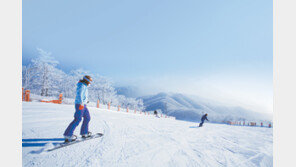 휘팍 오픈! 스키의 계절이 시작됐다