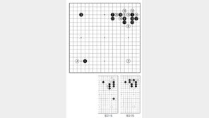 [바둑]제58기 국수전… 대형 정석