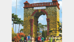 [광주/전남]가수 한명 안와도 대박… 함평 국향대전 비결은?