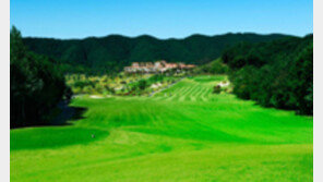 [그린에서]코스카CC,무기명 선불카드 外