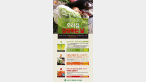 김장배추? 알고 사면 더 싸고 편리