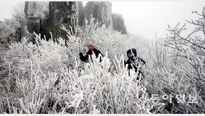 눈꽃 핀 무등산… 첫눈 내렸어요