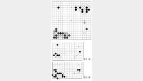 [바둑]제58기 국수전… 눈사태 정석