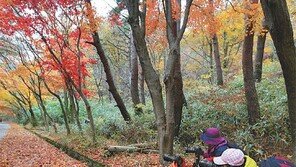 [광주/전남]‘떠나가는 가을의 뒷모습’ 찰칵