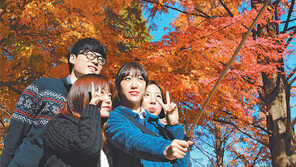 [대구/경북]캠퍼스 단풍배경 셀카