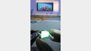 꿈의 소재 ‘퀀텀닷’… 전자업계 ‘판’ 바꾼다