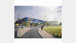 이케아, 국내 상륙…‘가구 공룡’ 위력 한국서도 발휘?