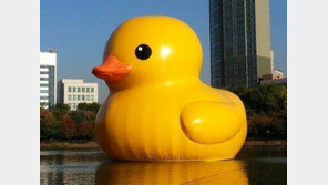 러버덕, 14일 전시 종료… 3개월 지나면 산업 폐기물 처리?