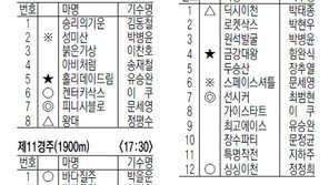 11월 15일, 16일 경마 출마표