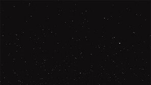 [책의 향기]어둠은 생명의 쉼표