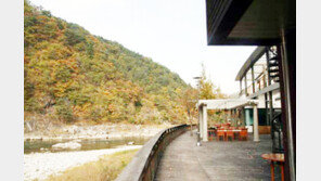 [여행, 나를 찾아서]맑은물리조트, 휴양림, 낚시, 단풍을 온가족이 한번에…