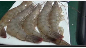 대하의 효능, 성장발육+미용에 효과 “저지방 식품”