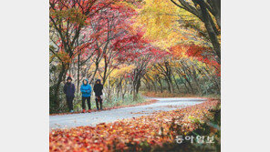 [광주/전남]무등산도 붉게 물들었다