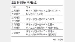 [대구/경북]포항 영일만항 물동량 급증… 부산항에 도전장