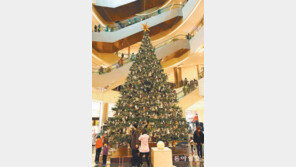 [부산/경남]백화점은 벌써 연말 분위기