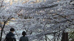 미혼남녀 47% “연애 많이 해볼 수록 좋다”, 왜냐면…