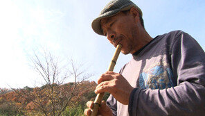 [ON AIR] 지리산서 20년 ‘대나무 홀릭’