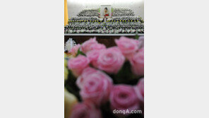 故 김자옥 빈소 찾은 동료들 “내년 3월이 아들 결혼식인데…