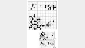 [바둑]제58기 국수전… 완착 85