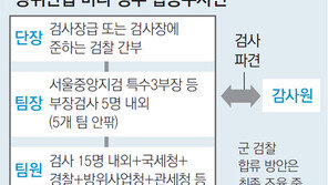 합수단으로 중수부 공백 메운다?