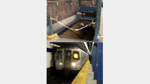 지하철 기다리던 男, 괴한에 떠밀려 아내 보는 앞에서 즉사