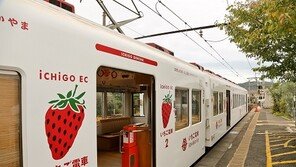 모두투어, 와카야마에서 깊어가는 단풍과 온천욕 만끽