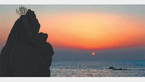 [인천/경기]수능 피로 잊고 기차여행을… 합격 소원도 빌어보세요