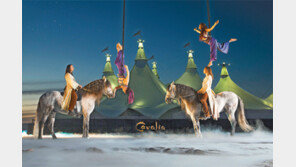 [Cavalia]66개 도시 400만 관객을 매료시킨 지상 최대의 아트서커스