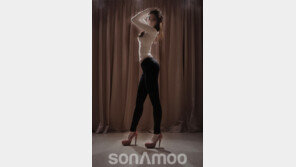 소나무, 4번째 멤버는 ‘디애나’…서서히 드러나는 대형신인