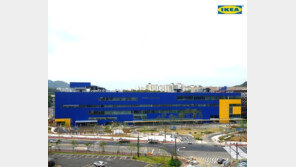 이케아코리아, 고가 논란? “한국이 더 저렴한 제품 있다” 반박