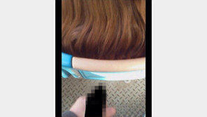 버스 자위 사건, 인터넷상에 유포된 루머와 사진은 ‘거짓’