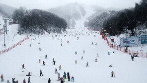 스키도 타고 김치도 담그고… ‘휘팍’ 김장체험행사