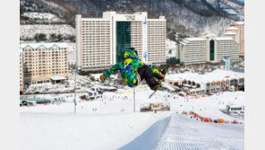 비발디파크 21일 슬로프 추가오픈, 새벽스키 실시