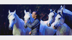 [양형모의 아이 러브 스테이지] ‘말과 인간의 교감’ 예술로 승화
