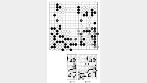 [바둑]제58기 국수전… 흑의 안전운행