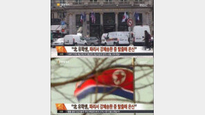 파리 유학 중이던 北 대학생 강제 송환 중 기적적으로 탈출