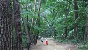 치악산국립공원 68km 둘레길 조성, 2020년까지 10개 구간