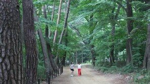 치악산 68km 둘레길 조성, 2020년까지 10개 구간