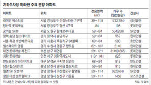 폭 20cm 더 넓히고 낮처럼 환하게… 우리집은 주차문제 없어요
