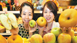 사과 보관법, 신선한 과일을 오랫동안 먹고싶다면?