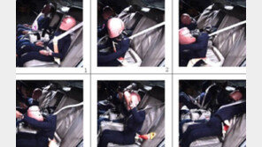 ‘안전벨트 위치조절기’ 안전에 치명적… ‘놀이매트’에선 카드뮴까지