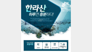 하루만 투자해볼까…제주 당일치기 힐링여행 상품