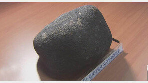 45억 살 진주 운석, 가격도 나이 먹은 만큼?