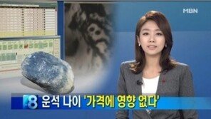 ‘45억 살 진주 운석’ 소유주 270억원 가치 주장…‘글쎄’