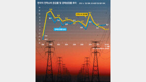 불황에 電氣도 안팔린다