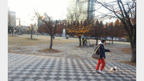 [대전/충남]430억 vs 835억… 서대전공원 매입 갈등